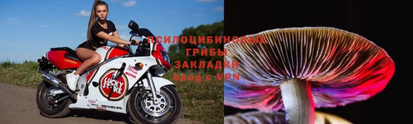мяу мяу мука Баксан